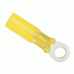 Ancor 12-10 Gauge - 3/8&quot; Heat Shrink Ring Terminal - 3-Pack - 312603