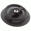 Scotty 443 D-Ring w/3&quot; Stick-On Accessory Mount - 0443