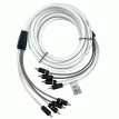 Fusion RCA Cable - 4 Channel - 12&#39; - 010-12893-00