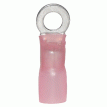 Ancor Heat Shrink Ring Terminal - #8 1/4&quot; *3-Pack - 321403