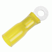 Pacer 12-10 AWG Heat Shrink Ring Terminal - #10 Stud Size - 100 Pack - TE10-10R-100
