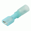 Pacer 16-14 AWG Heat Shrink Female Disconnect - 3 Pack - TDE14-250FI-3